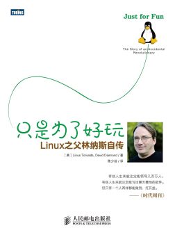 《只是为了好玩》封面