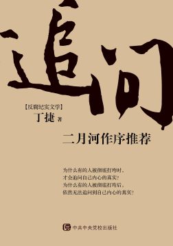 《追问》封面